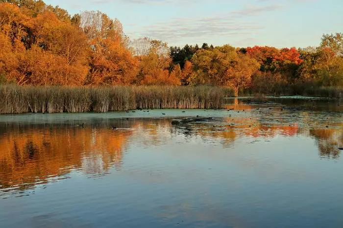 Autumn Colors on Medicine Lake in Plymouth, Minnesota
