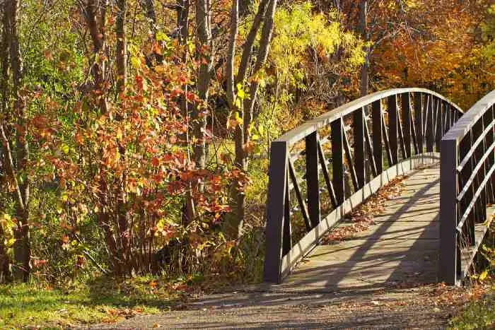 Enjoy an afternoon hike at French Regional Park in Plymouth, MN.
