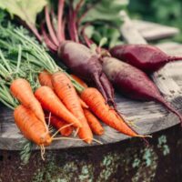 Carrots and beets on wood