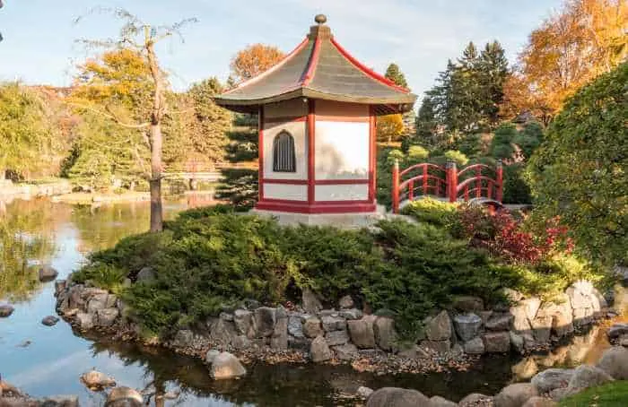  Normandale Japanese Garden in fall