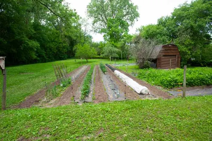 Vegetable Garden in Minnesota