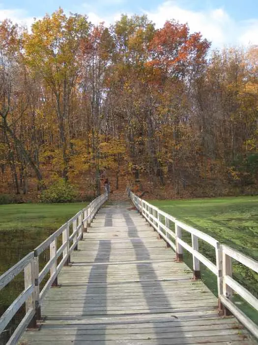 Wooden bridge in a park leading to a paved trail