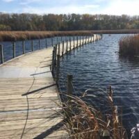 Nature trail on lake