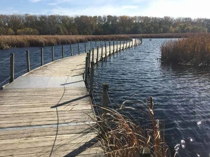 Wood Lake Nature Center Boardwalk in Richfield, Minnesota

