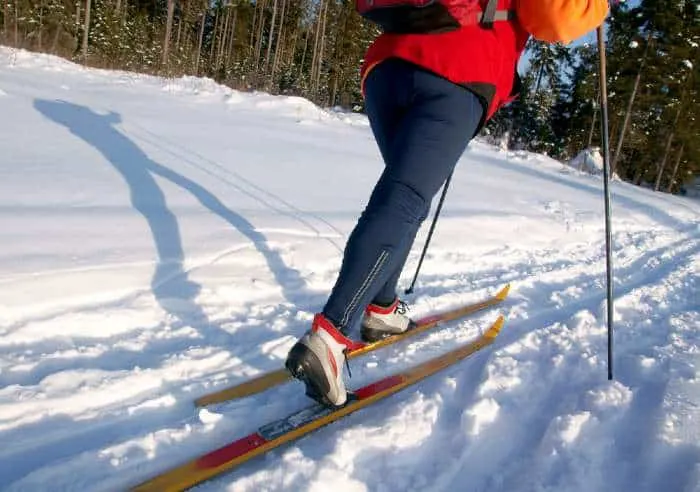 Ski along a wintry trail at one of the best things to do in Cottage Grove
