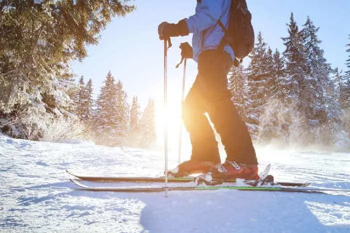 Skiing in forest in winter
