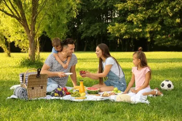 Spend quality time with your family having a picnic at one of the most special things to do in Chanhassen, Minnesota