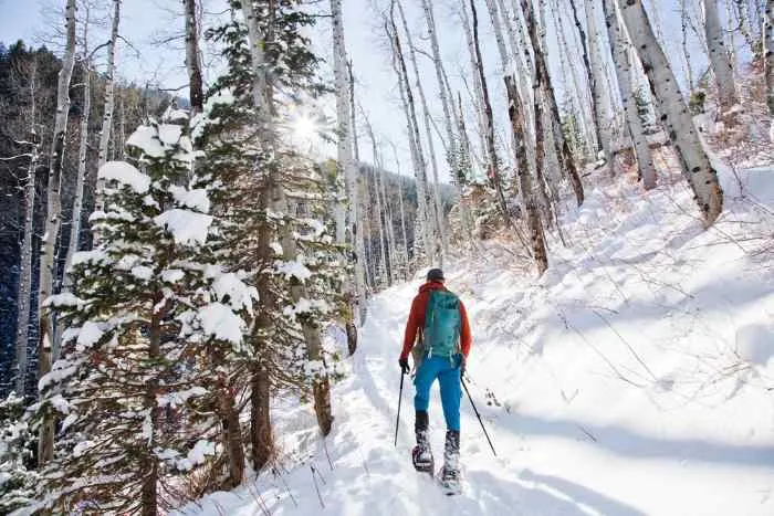 Man snowshoeing in forest