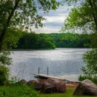 Lake surrounded by trees