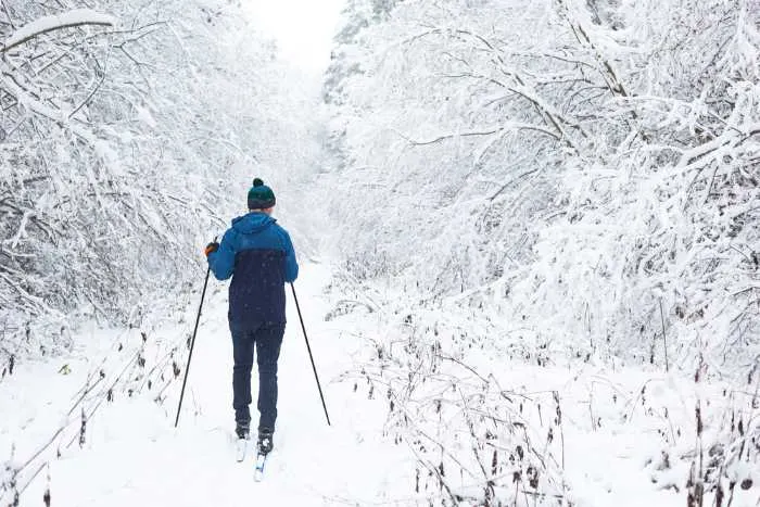 In winter, refresh with some chilling cross country skiing in the woods