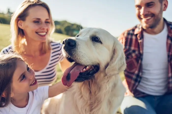 Have an outdoor family adventure at one of the great parks in Rosemount, Minnesota