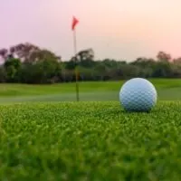 Golf ball and flag on the green