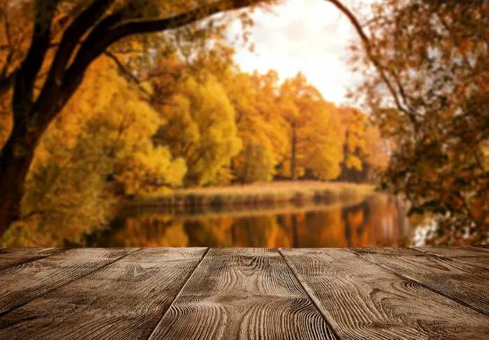 Enjoy the beauty of the Wilderness Scenic Byway; one of the best things to do in Grand Rapids, Minnesota