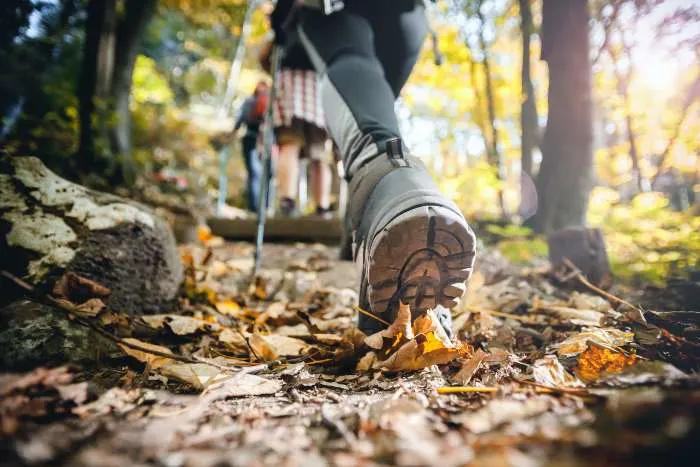 Enjoy a sunny day of hiking; one of the fun things to do in Hermantown