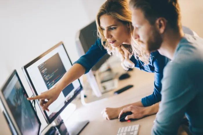 Programmer working in a software developing company
