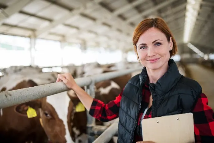 A Dairy Farm Manager; one of the great Minnesota Jobs you might consider