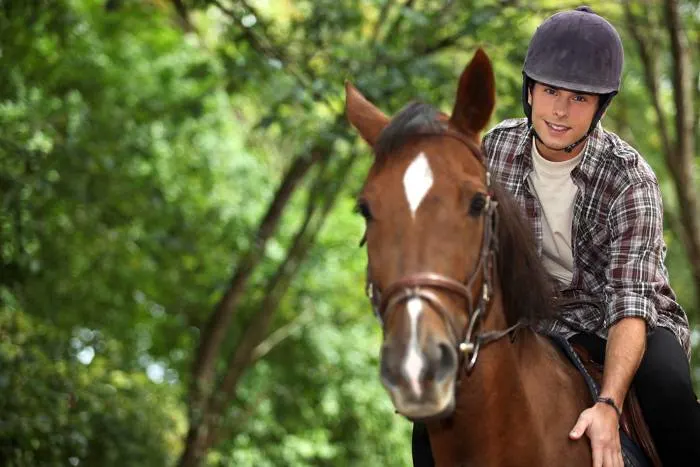 Enjoy horseback riding at one of the best parks in Minnesota