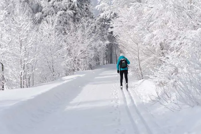 Cross-country skiing on a winter sunny day at one of the best things to do in Lake Elmo, Minnesota