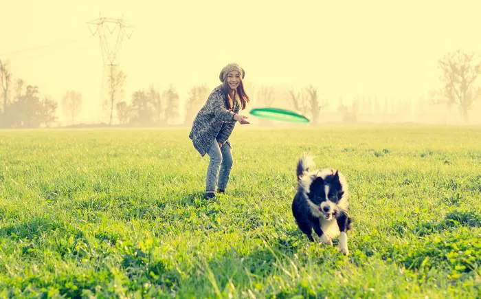 girl throwing to her dog in a park