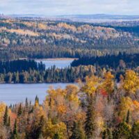 Superior National Forest in fall