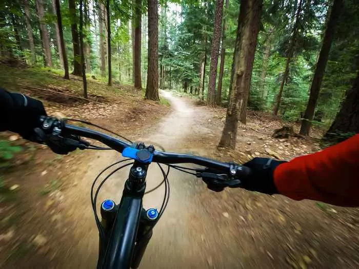 Mountain biking through forest