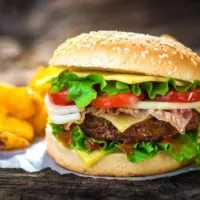 burger with fries