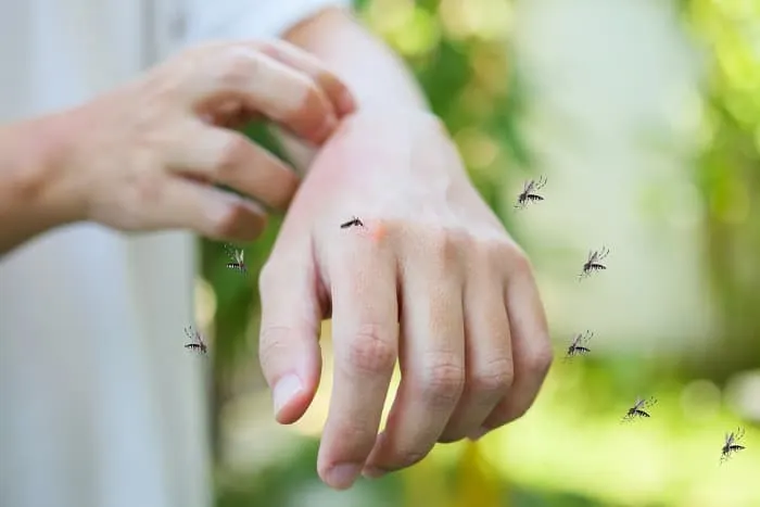 Man itching and scratching on hand from allergy skin rash caused by Mosquitoes bite
