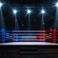 Fight ring