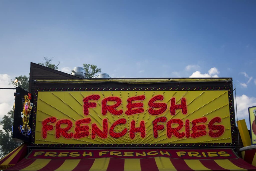 minnesota state fair