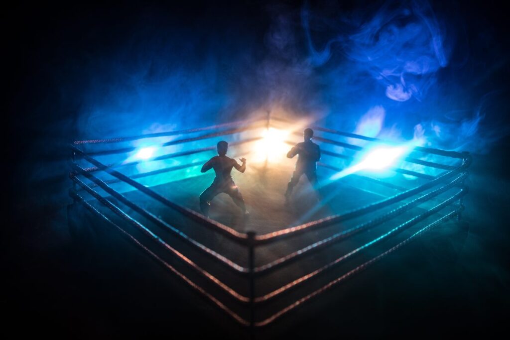 mma fight octagon stage. 