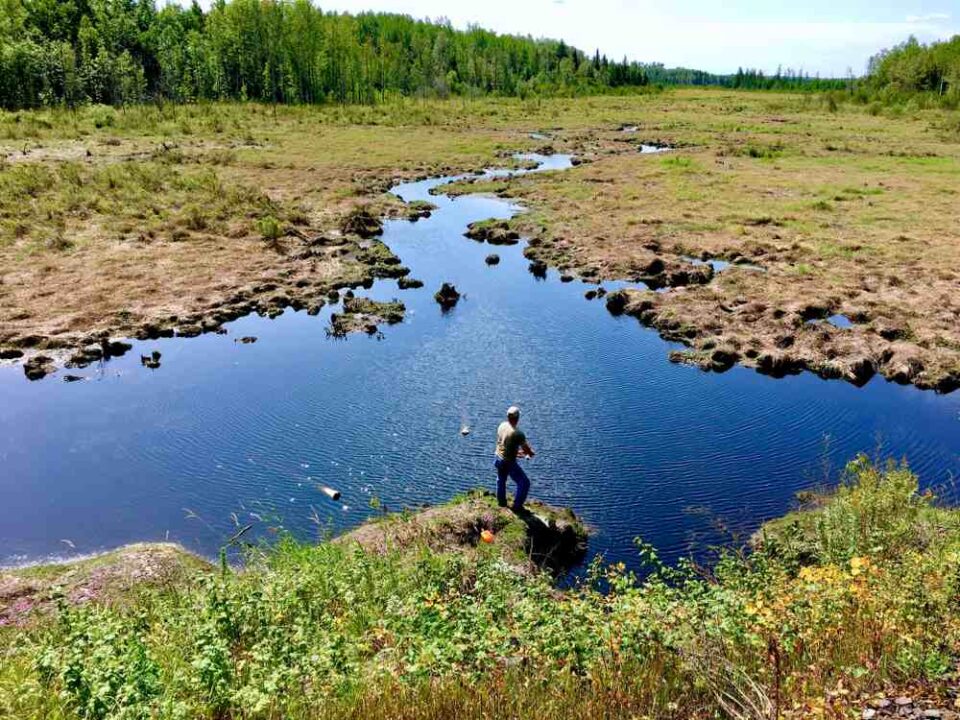 Life In Minnesota The Complete Boundary Waters Fishing Guide https