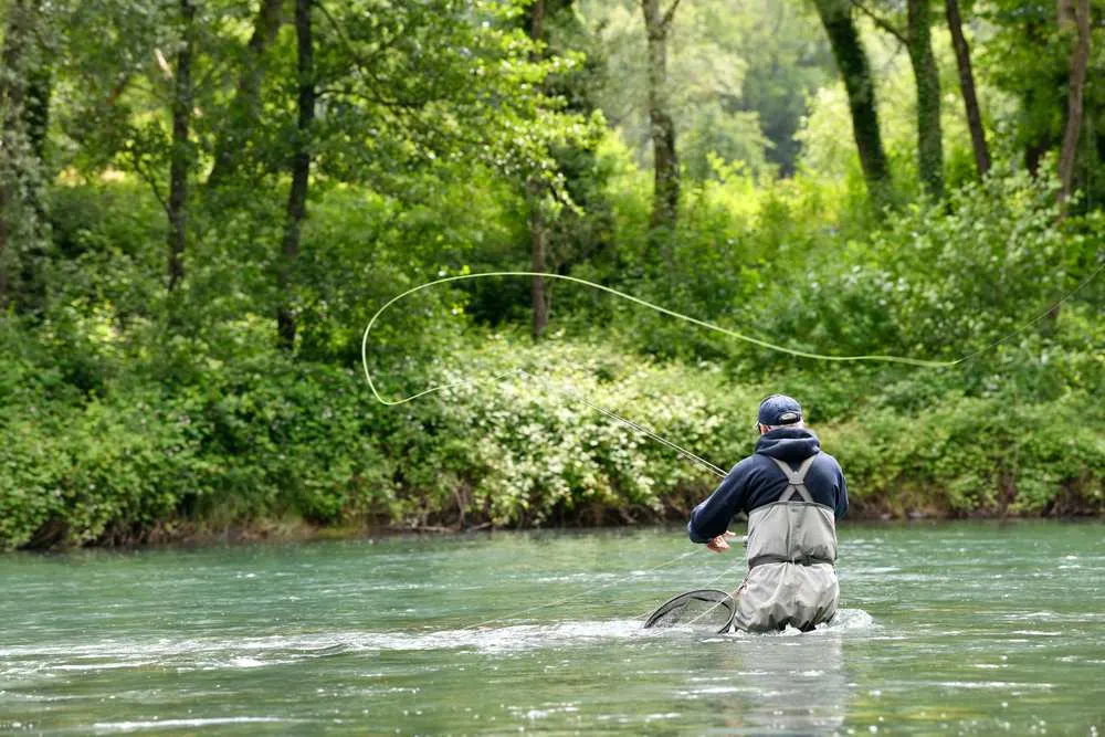 fly fisherman with black jacket fishing in the middle of the river