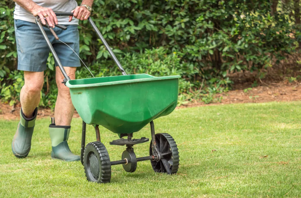 Man seeding and fertilizing residential backyard lawn with manual grass seed spreader.