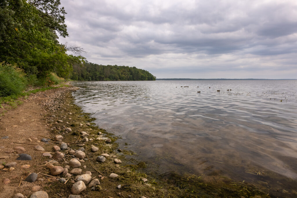 Lake Bemidji.