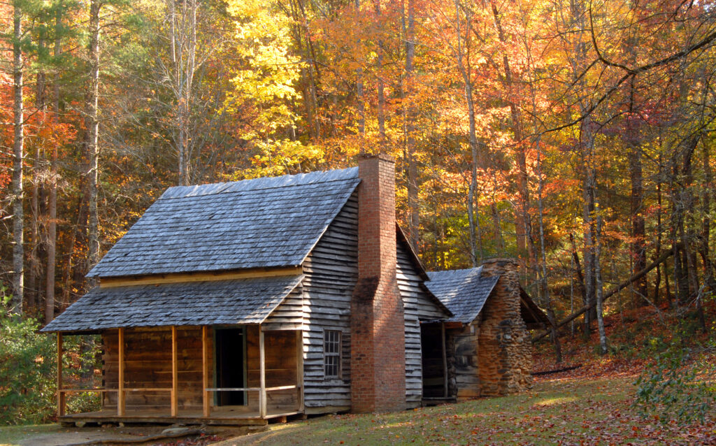 A cabin in the woods during the Fall that makes you want to search for cabins in Minnesota for rent.