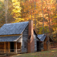 A cabin in the woods during the Fall that makes you want to search for cabins in Minnesota for rent.