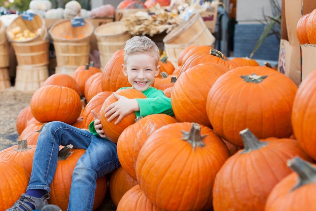 A boy sits in a pile of pumpkins.