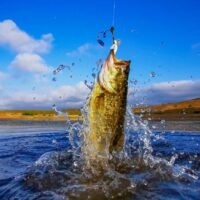 Bass fishing on a bright blue lake. Best Lures for Lake Fishing in Minnesota and best line for bass fishing.