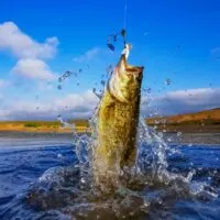 Bass fishing on a bright blue lake. Best Lures for Lake Fishing in Minnesota and best line for bass fishing.