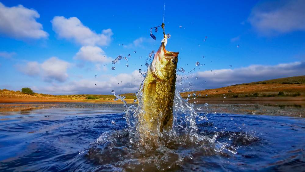 Bass fishing on a bright blue lake. Best Lures for Lake Fishing in Minnesota and best line for bass fishing.