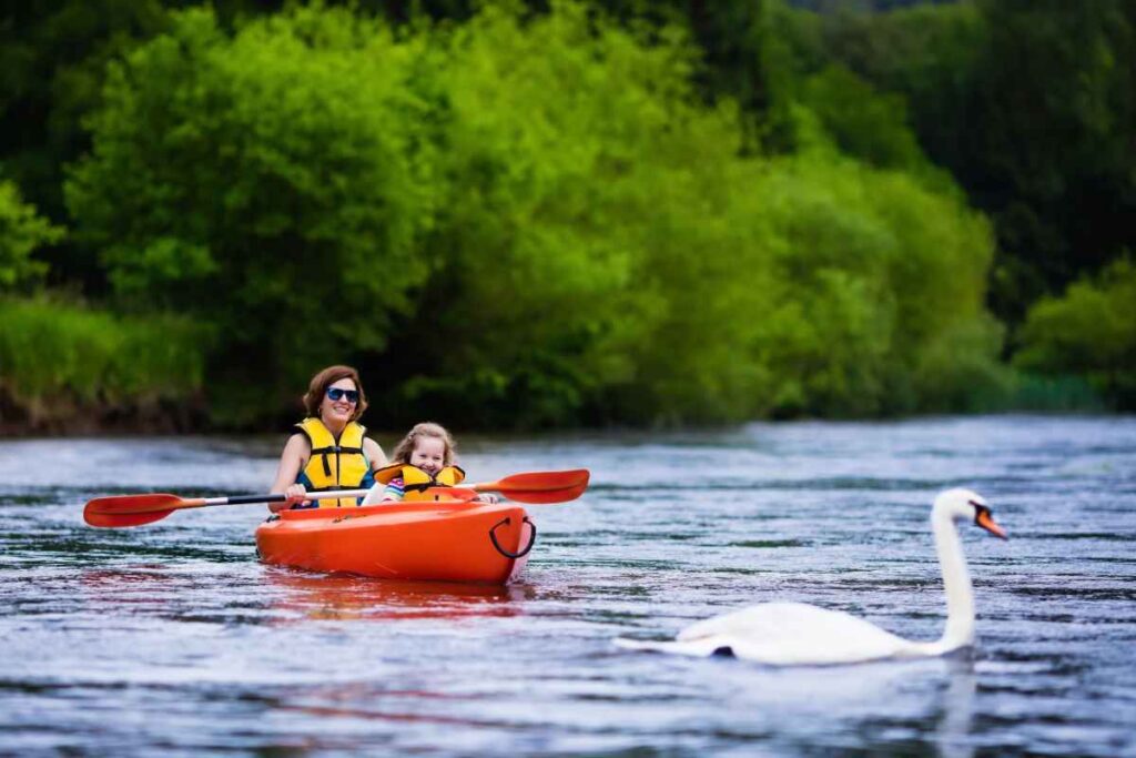 Kayaking on the Minnehaha River