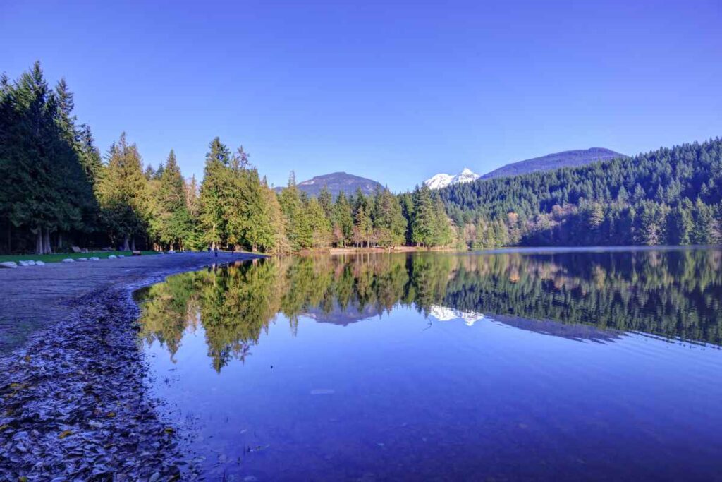 Lake Alice at William O'Brien State Park