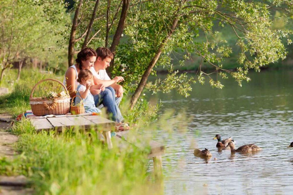 Enjoying a picnic by Lakeview Terrace Park is one of the best things to do in Robbinsdale