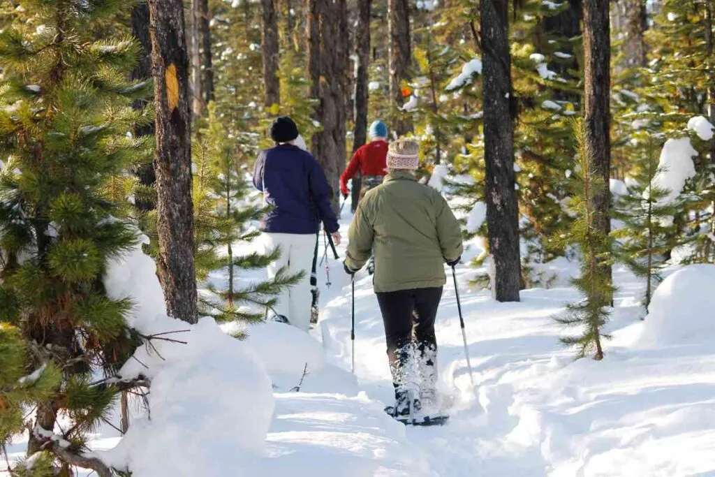 Snowshoeing at Jay Cooke State Park