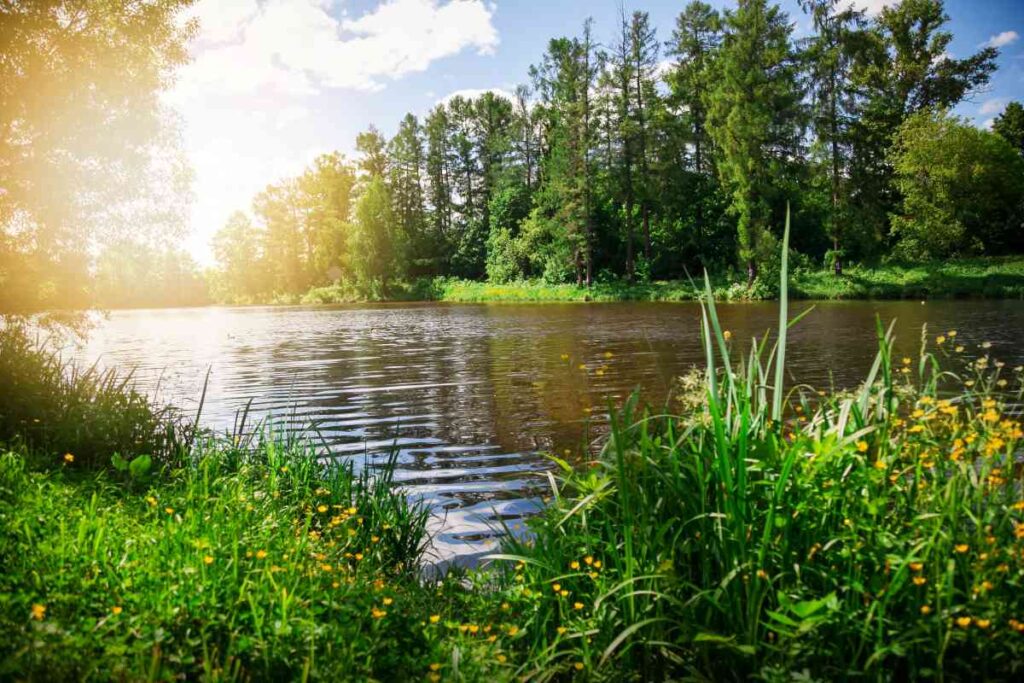 Canoeing in Minnesota on the St. Croix River