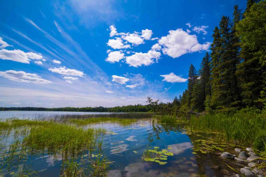 Wild River State park