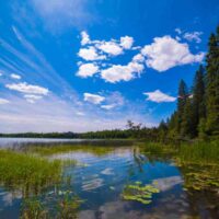 Wild River State park