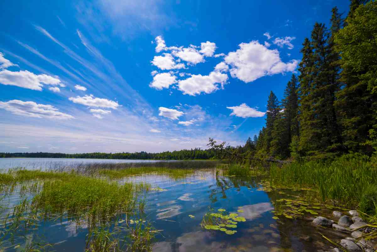 Wild River State Park Visitor's Guide