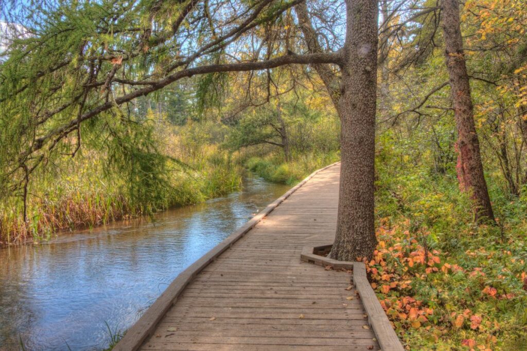 Itasca State Park.