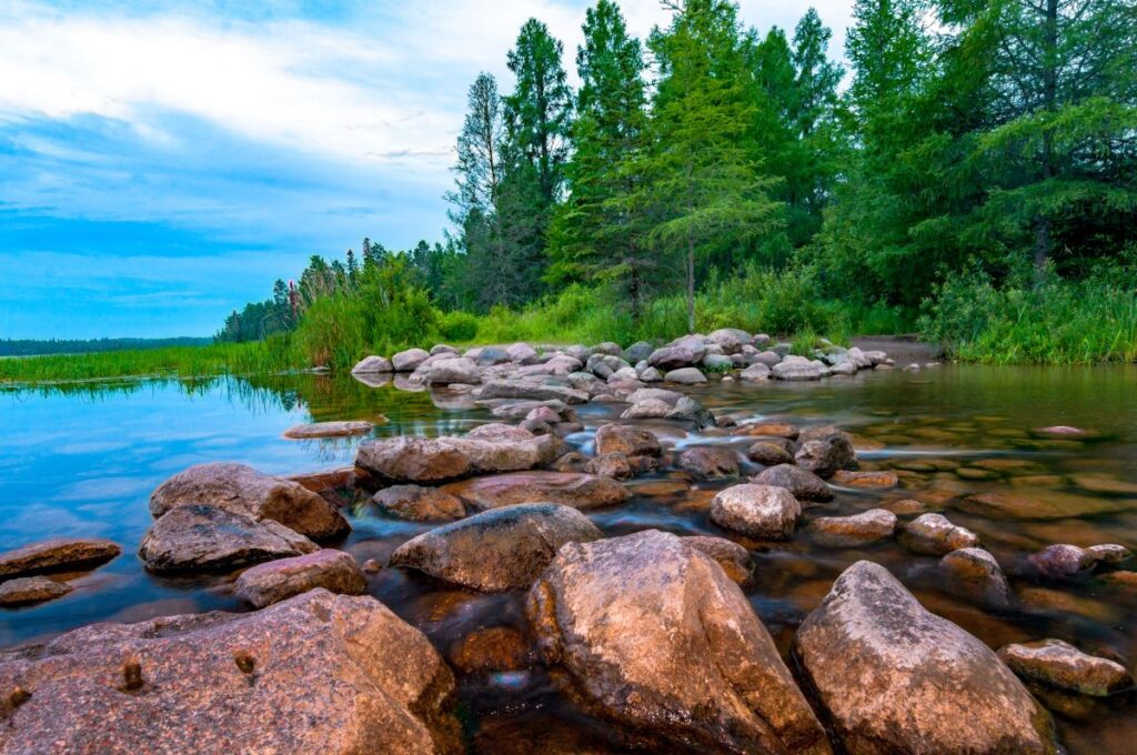 Itasca State Park view.
